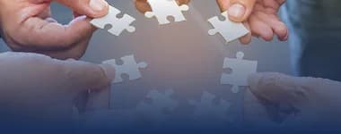 Solution Partner