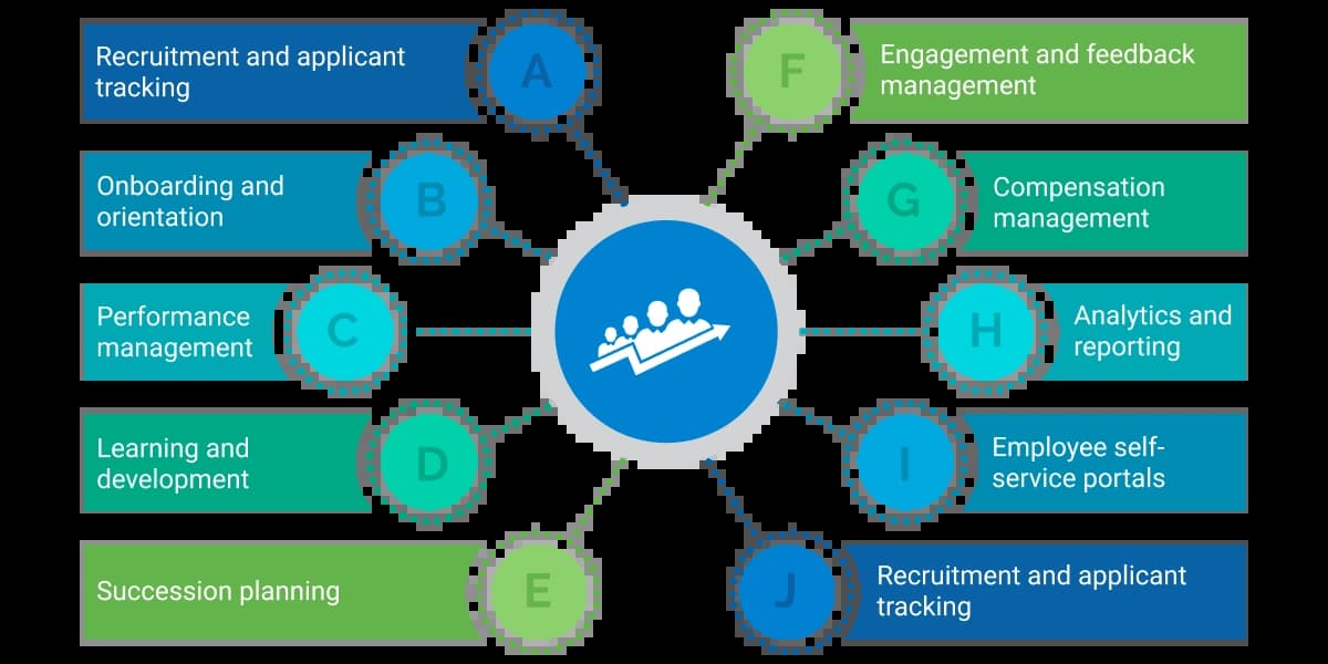 Key Functions of a Talent Management System image