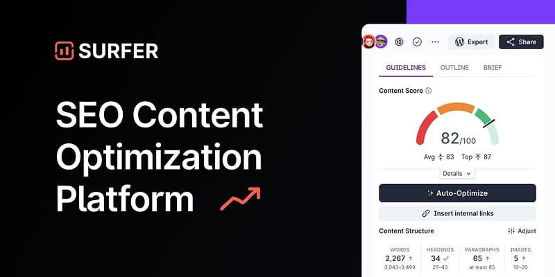Surfer SEO (Ranking analysis and Optimization Tools) image